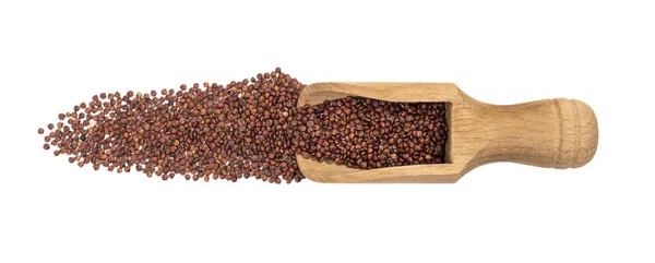 Scoop with red quinoa seeds — Stock Photo, Image