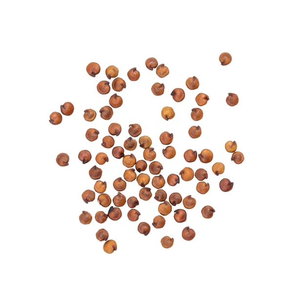 Sementes de quinoa no fundo branco — Fotografia de Stock