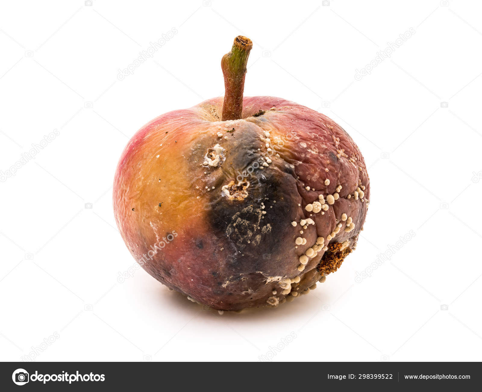 6,727 Rotten Apple Stock Photos - Free & Royalty-Free Stock Photos from  Dreamstime