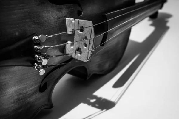 Natura Morta Bianco Nero Violino Sul Lato Con Ombra Delle — Foto Stock