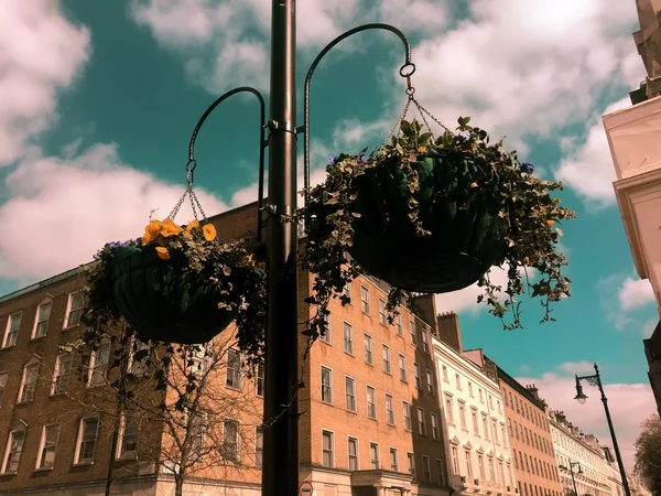 Καλάθια Λουλούδια Στην Πόλη Σύννεφα Και Ουρανό — Φωτογραφία Αρχείου