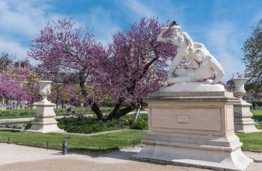 Tuilleries parkında Bloom