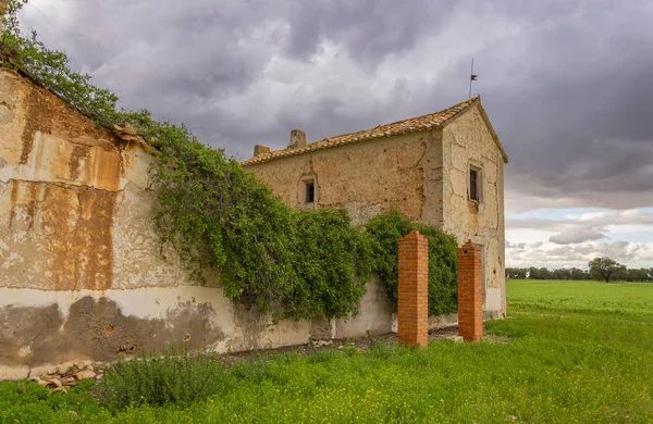 Yeşil sarmaşık kaplı kahverengi bir duvar ile Kırsal ev