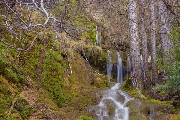 Водоспади Інтер Єрі Лісу — стокове фото
