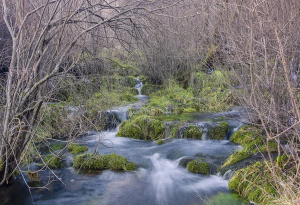 Kleiner Gebirgsfluss Mit Kleinen Bläulichen Grau Und Magenta Grüntönen — Stockfoto