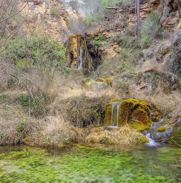 Ormanın iç şelaleler.