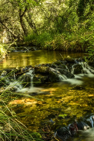 Kristal berraklığındaki bir dağ deresinde şelale.