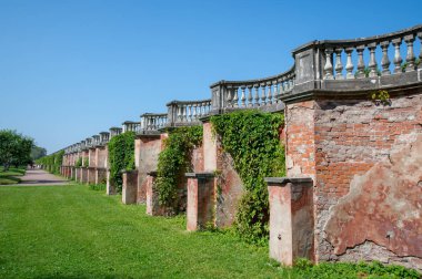 Tuğla duvar büyümüş yabani üzüm