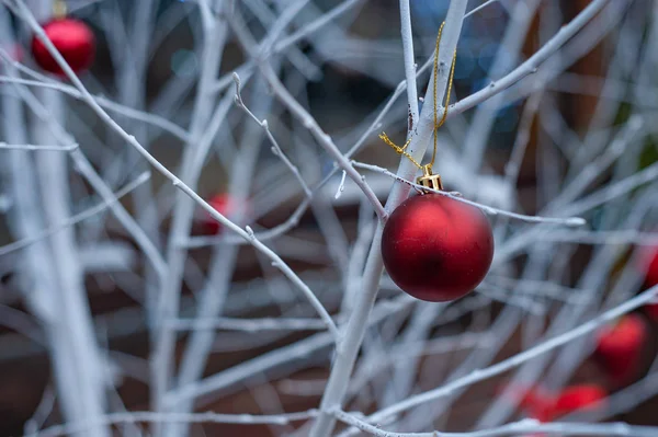 Beyaz dallarda kırmızı Noel topları