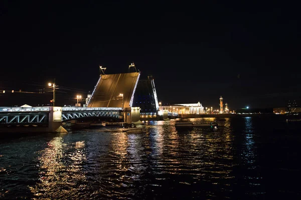 Divórcio a ponte noturna em São Petersburgo — Fotografia de Stock