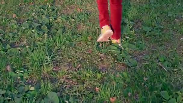 De benen van het meisje in rode jeans en sneakers lopen door het gras — Stockvideo