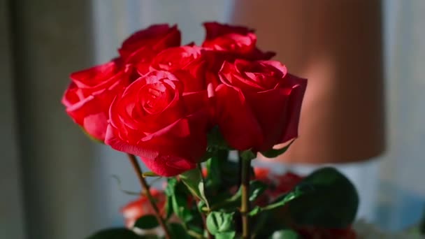 Primo piano di un mazzo di rose rosse . — Video Stock