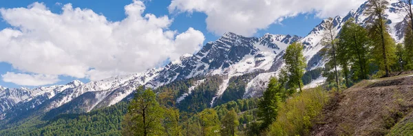 Mavi suda deniz eğimi. Yamaçlar suyun altında yüzüyor. Yan görünüm.
