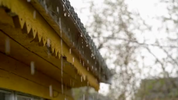 Esőcseppek csöpögnek a tetőről. — Stock videók