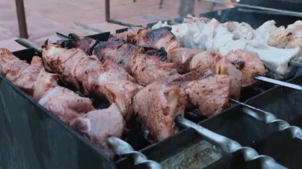 Hot kebab pinned on skewers lies on the grill — Stock Video