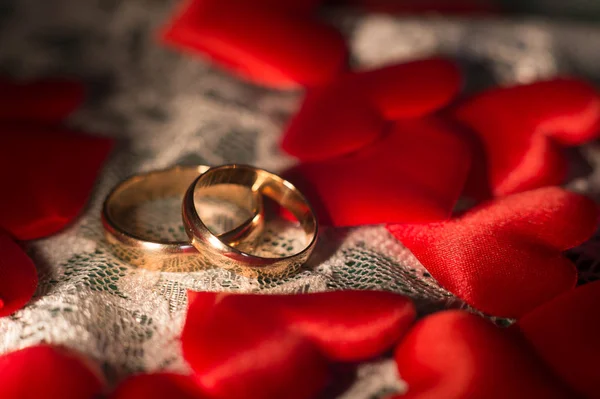 Anéis de casamento, close-up — Fotografia de Stock