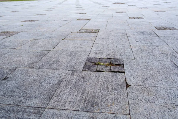 Panorama de un cuadrado de azulejos, perspectiva lineal — Foto de Stock