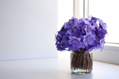 Pencerede mor kardelen buketi