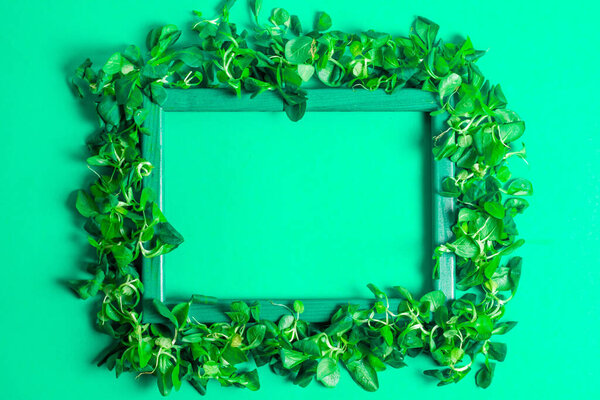Wooden frame of corne salad for copyspace tinting mint turquoise