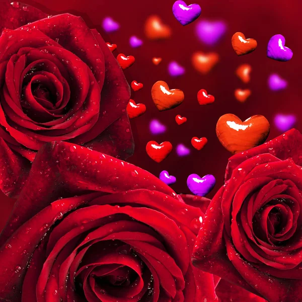 Cartão Dos Namorados Rosas Corações Fundo Romântico — Fotografia de Stock