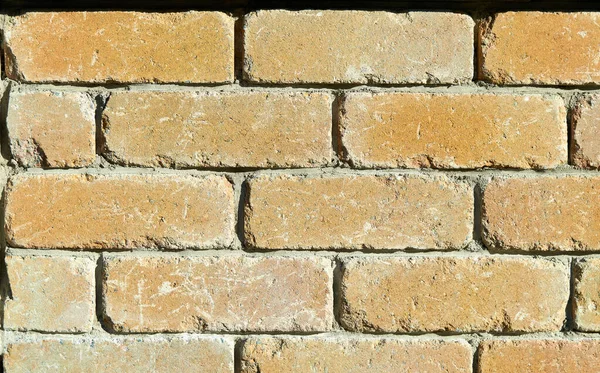 Brick wall sun side