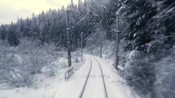 Viajar Com Trem Pela Floresta Inverno — Vídeo de Stock