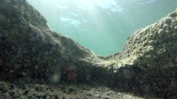 Underwater Sun Rays Rock Fish — Stock Video