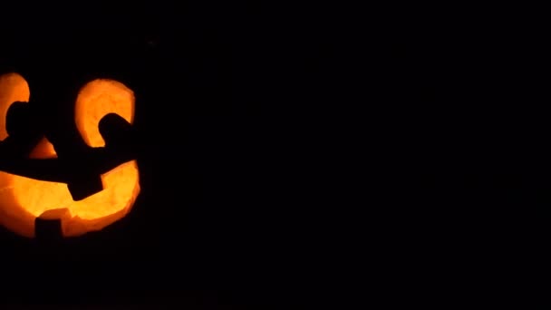 Pumpkin Lantern Dark Camera Mowement — Stock Video