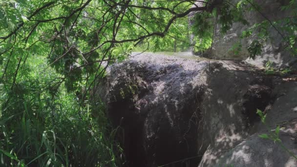 Ormanda Kayalar Üzerinde Küçük Şelale — Stok video