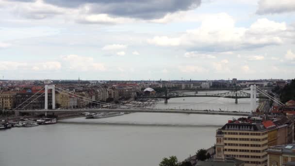 Brücke Über Die Donau Mit Verkehr — Stockvideo