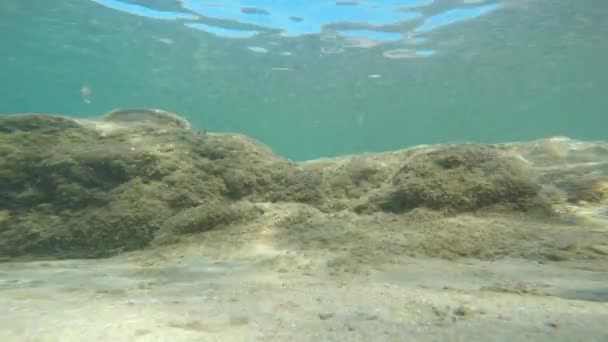 Unterwasser Felsformation Mit Sonnenstrahlen Und Fischen — Stockvideo
