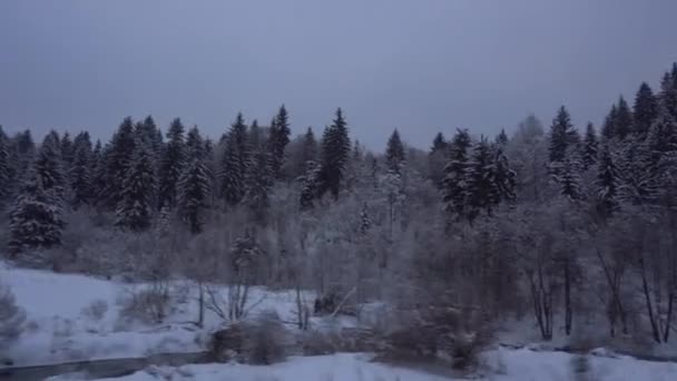 火车旅行槽雪树林侧视图用于假旅行窗口镜头 — 图库视频影像