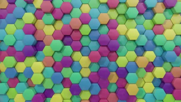 Animated Hexagon Random Color Combination Background Loop — Stock Video