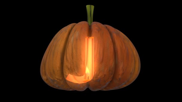 Animado Calabaza Tallada Tipo Texto Halloween Con Vela Lazo Animación — Vídeo de stock