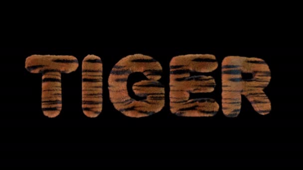 3Dアニメーションテキストスペルタイガー 怒りタイガーストライプの文字で作られた — ストック動画