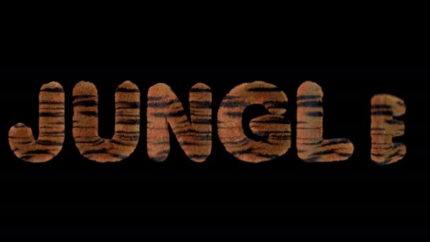 Animated Text Spelling Jungle Made Fury Tiger Striped Letters — Stock Video