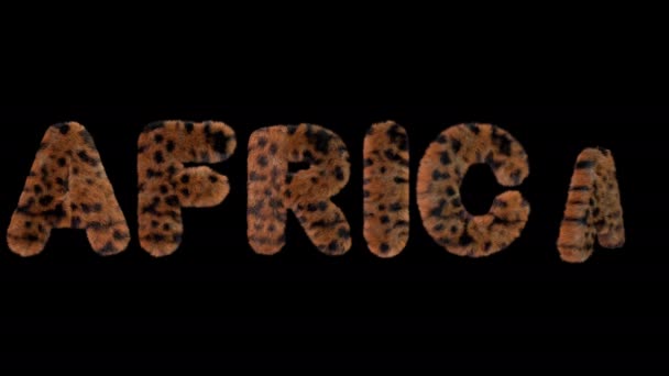 3D动画文字拼写非洲 由愤怒的豹子字母制成 — 图库视频影像