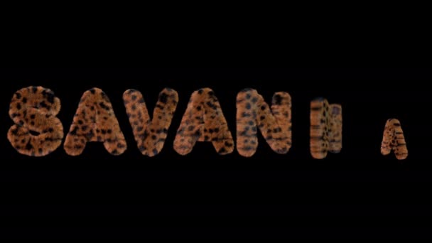 Texto Animado Ortografía Savanna Hecha Letras Leopardo Furia — Vídeo de stock