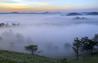 Bulutlu mevsim Da Lat Ormanı platosuna geri döndü.