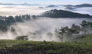 Bulutlu mevsim Da Lat Ormanı platosuna geri döndü.