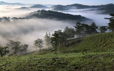 Bulutlu mevsim Da Lat Ormanı platosuna geri döndü.