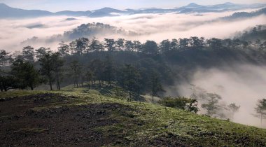Bulutlu mevsim Da Lat Ormanı platosuna geri döndü.