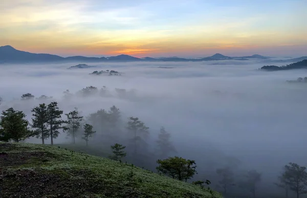 thaidoangiang1975