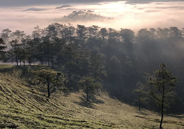 Estação Nublada Retorna Planalto Floresta Lat — Fotografia de Stock