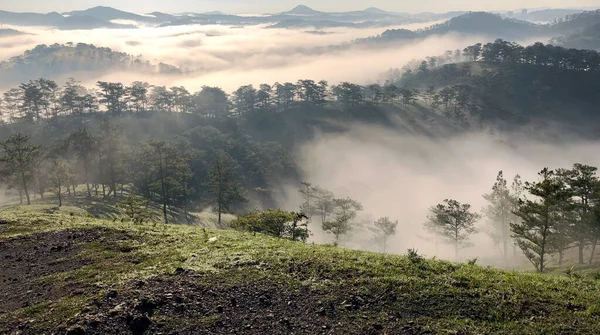 Estación Nublada Regresa Meseta Del Bosque Lat — Foto de Stock