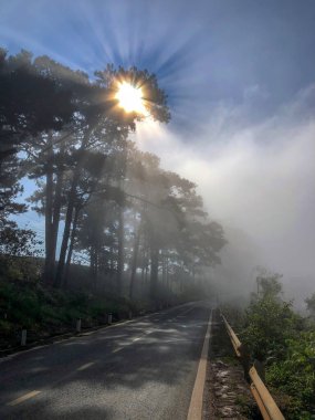 # Yollardaki çiğ tanelerinde gün ışığının ilk ışıkları #