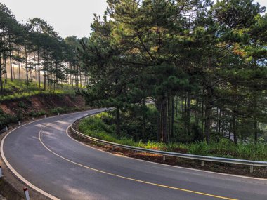 Da Lat 'ta yollar hem güneşli hem de çiğ.