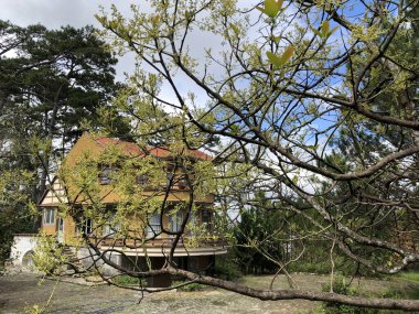 Dalat Dağlık Şehir Manzarası