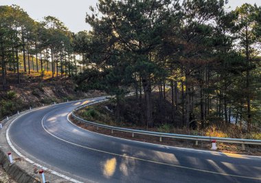 Da Lat 'ta yollar hem güneşli hem de çiğ.
