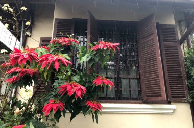 Da Lat dağ manzarası